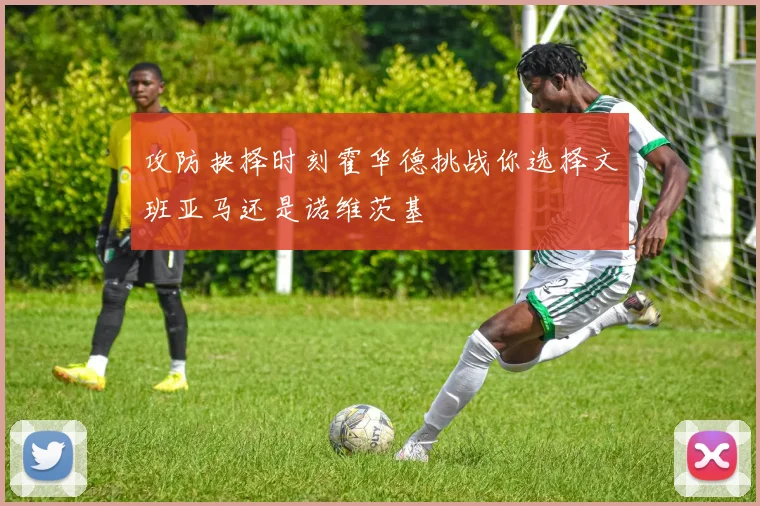 攻防抉择时刻霍华德挑战你选择文班亚马还是诺维茨基