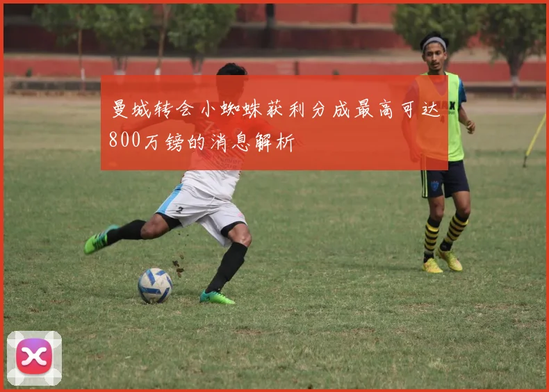 曼城转会小蜘蛛获利分成最高可达800万镑的消息解析